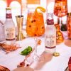 Double Dutch Pomegranate & Basil Mixer