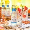 Double Dutch Skinny Tonic Water